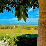 Alencio Panorama 住宿加早餐酒店 法维尼亚纳