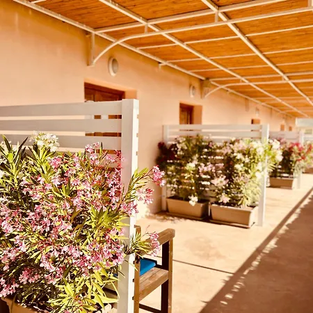 Alencio Panorama 住宿加早餐酒店 法维尼亚纳