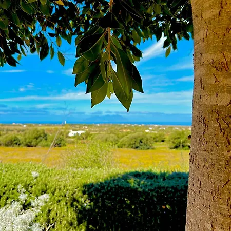Alencio Panorama Bed & Breakfast Favignana