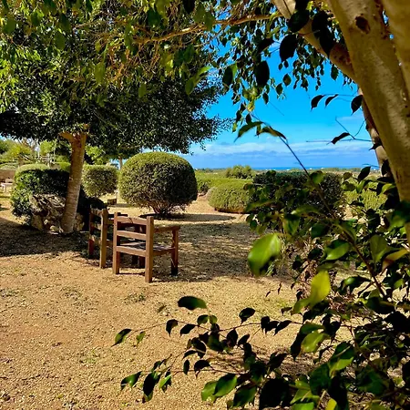 Bed & Breakfast Alencio Panorama *
