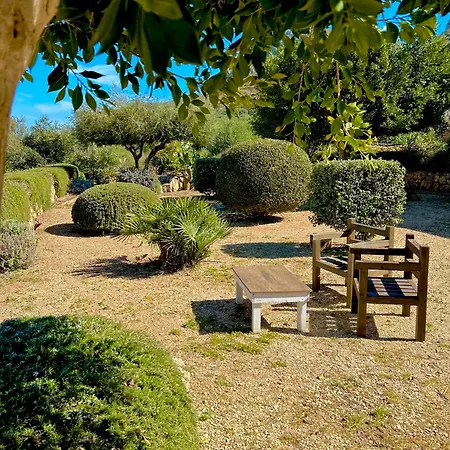 Alencio Panorama *